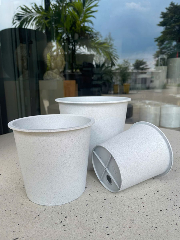 Chậu trông cây