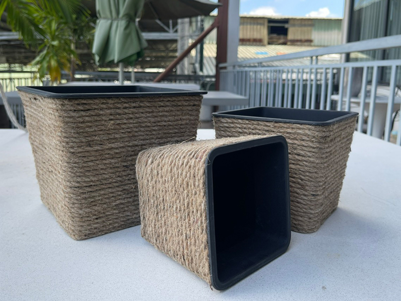 Chậu trồng cây trang trí