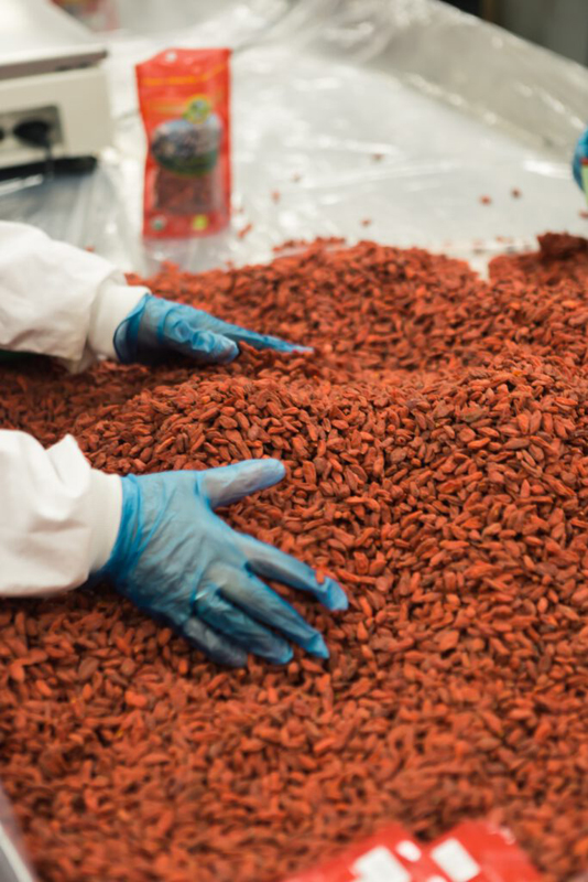 Dịch vụ sourcing Việt Nam