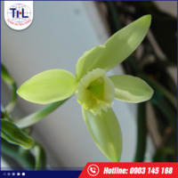 Hương vanillin
