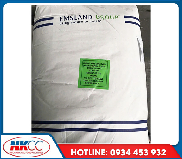 Emsland Group