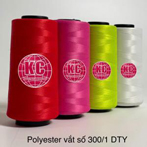 Chỉ DTY 300/1