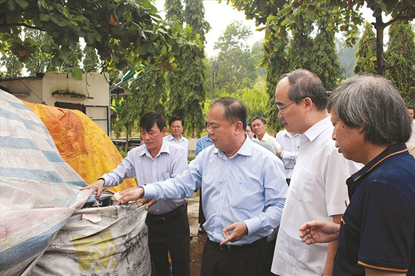 Tiêu hủy hàng tồn kho hết hạn sử dụng
