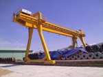 Cầu trục cổng trục
