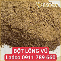 Hình ảnh thực tế