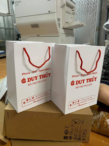 In ấn túi giấy