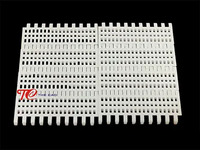 Băng tải xích nhựa HS100B