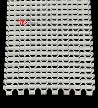 Băng tải xích nhựa HS400B