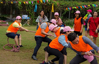 Tổ chức Team-building