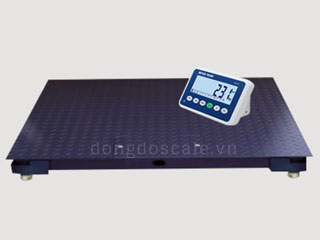 Cân sàn điện tử IND 231
