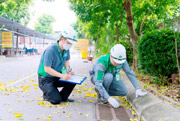 Dịch vụ diệt côn trùng