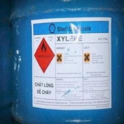 XYLEN
