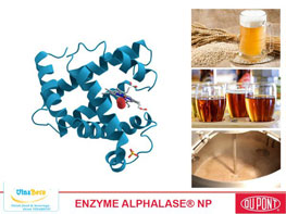 Enzyme Alphalase NP
