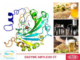 Enzyme Amylex 5T