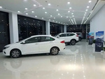 Thi công sơn epoxy showroom