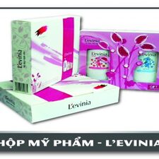 Hộp mỹ phẩm L evinia