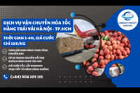 Dịch vụ vận chuyển đường hàng không