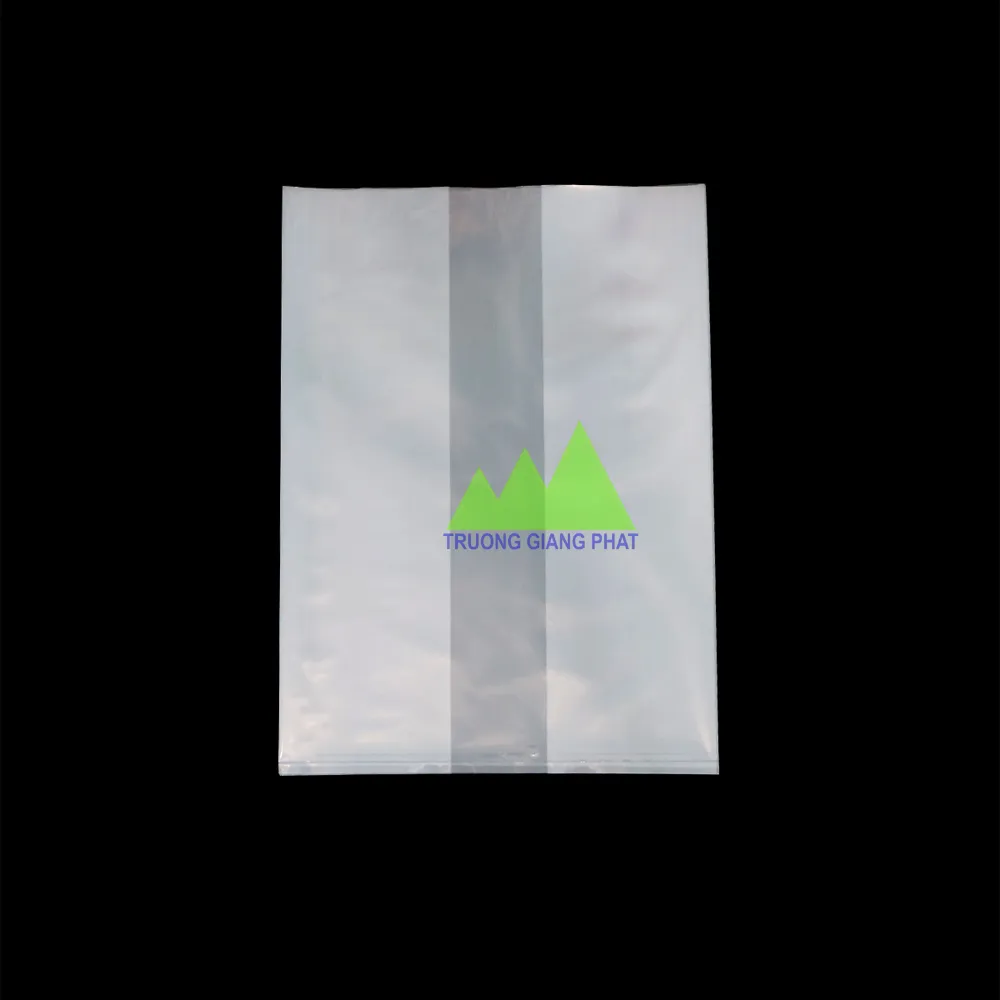 Túi xúp PE