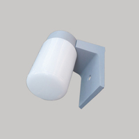 Đèn led Wall Light