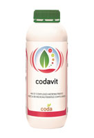 Codavit