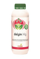 Dalgin Mg