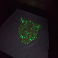 IN DẠ QUANG In dạ quang