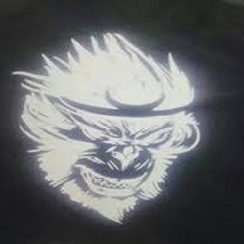 IN PHẢN QUANG In phản quang