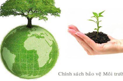 Báo cáo giám sát môi trường