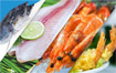 Thủy - Hải sản