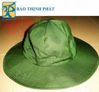 Nón tai bèo