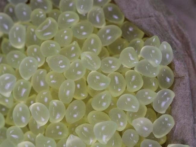 Keo Hotmail dán đệm