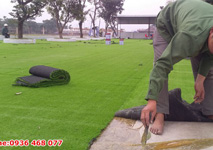 Bảo dưỡng cỏ nhân tạo