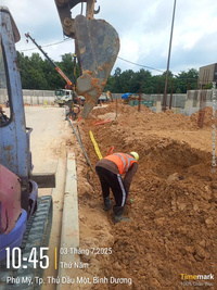 Thiết kế thi công cảnh quan