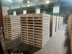 Pallet gỗ