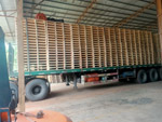 Pallet gỗ