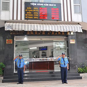 Bảo vệ mục tiêu cố định