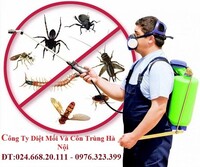 Kỹ thuật diệt côn trùng