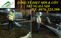 Phòng chống mối công trình xây dựng mới