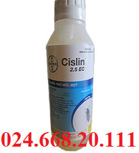 Thuốc diệt mối mọt Cislin 2.5 EC (Bayer Đức)