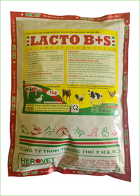 Lacto B S