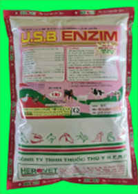 U.S.B Enzim