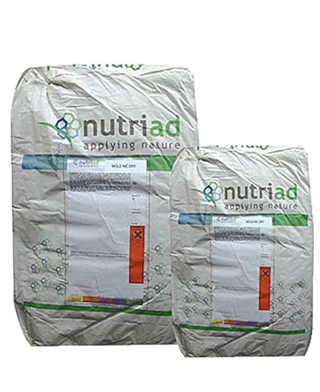 Chống mốc Mold-Nil Dry