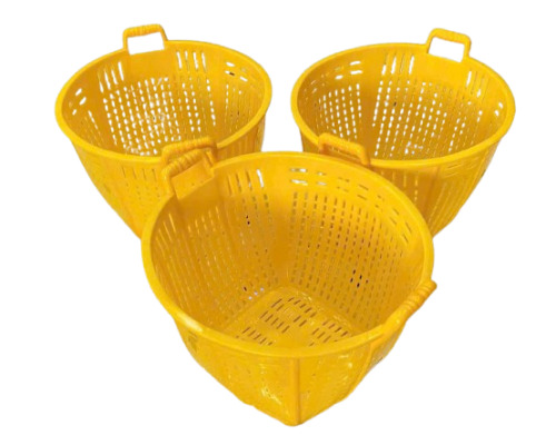 Sọt cá cơm