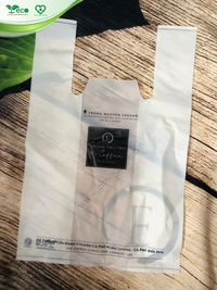 Túi 2 quai siêu thị