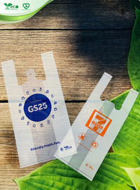 Túi 2 quai siêu thị