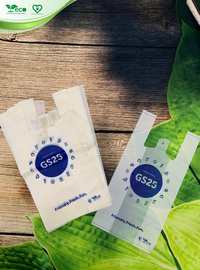 Túi 2 quai siêu thị