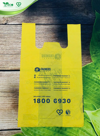 Túi 2 quai siêu thị