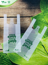 Túi 2 quai siêu thị