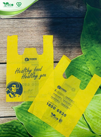 Túi 2 quai siêu thị