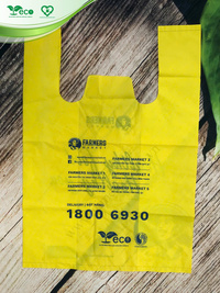 Túi 2 quai siêu thị